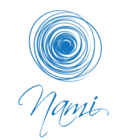 nami logo transparent v2